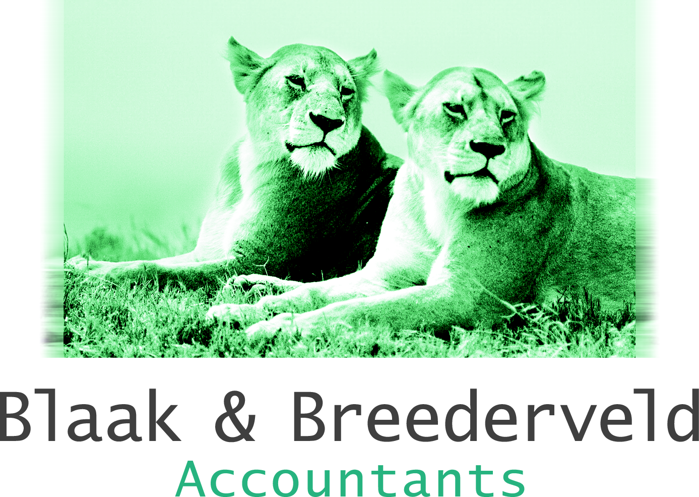 L_B&B-leeuwen-groot-CMYK